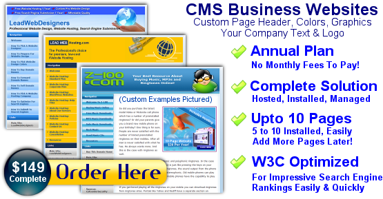 Order Custom WordPress Website 149order